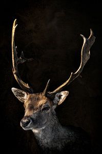 Portrait de cerf sur fond sombre avec de grands bois de cerf en peinture