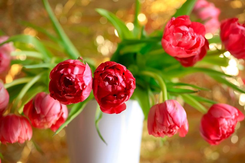 Filled tulips by Thomas Jäger