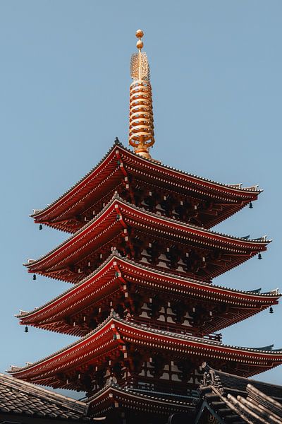 Architecture and spirituality: Japanese temple culture by NZME Photography