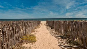 Way to the sea by Tanja Voigt