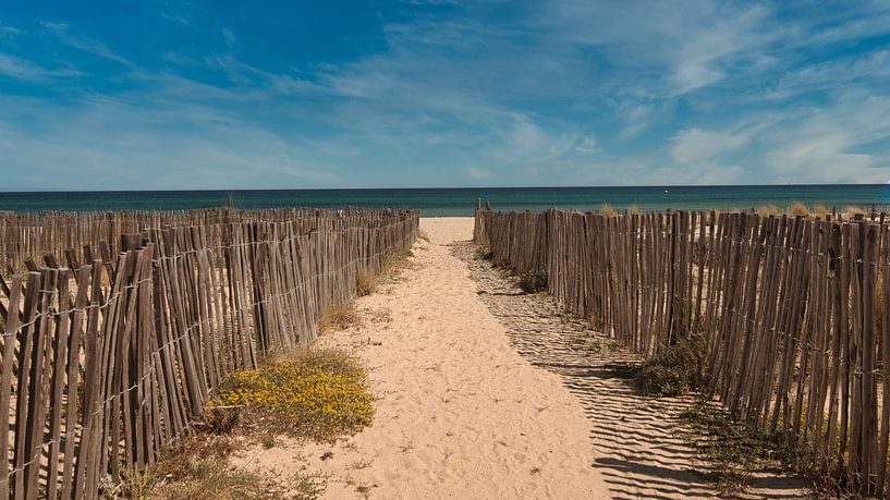 Way to the sea by Tanja Voigt