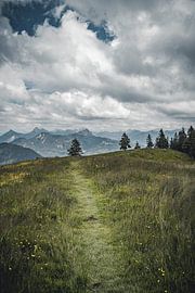 Allgäu by Sebastian Witt