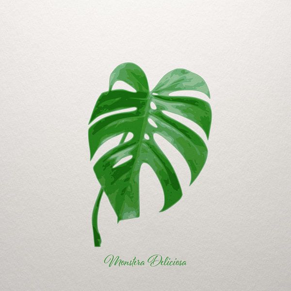 Monstera deliciosa by beangrphx Illustration and paintings
