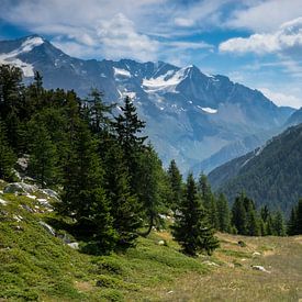 Bergweide in de Franse Alpen van Bas van Gelderen