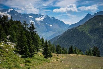 Bergweide in de Franse Alpen van Bas van Gelderen
