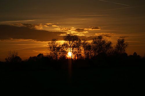 Zonsondergang achter bomen