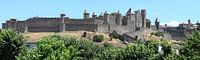 Carcassonne panorama von Carel van der Lippe Miniaturansicht