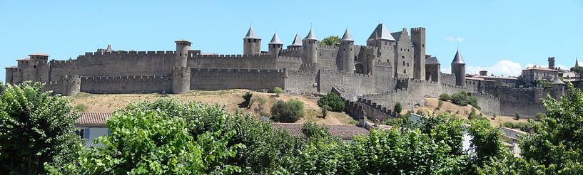 Carcassonne panorama by Carel van der Lippe
