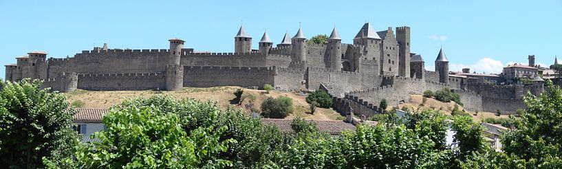 Carcassonne panorama van Carel van der Lippe