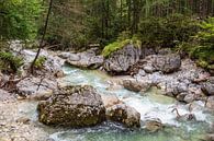 Ramsauer Ache in het toverbos in het Berchtesgadener Land van Rico Ködder thumbnail