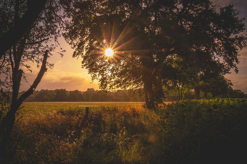 Het regent zonnestralen! par ramona stoker