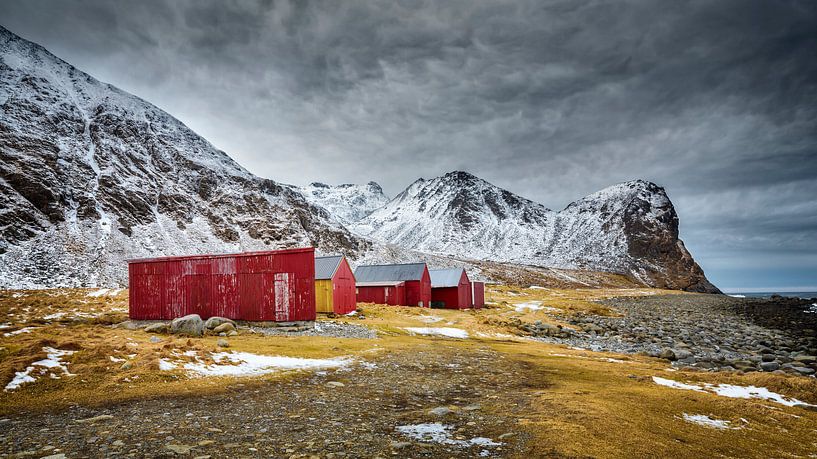 Winter landscape with red barns on the Lofoten in northern Norway by Chris Stenger