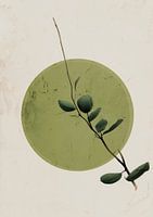 Groene twijg nr. 2