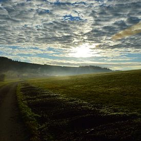 Morgensonne in der Eifel von Susanne Seidel