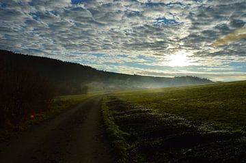 Morgensonne in der Eifel von Susanne Seidel