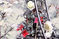 Peinture aquarelle rouge et blanche de vrille de rose par Patricia Piotrak Aperçu
