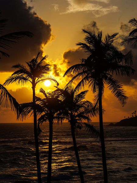 Mirissa Beach, Sri Lanka by Patrick Fotografeert