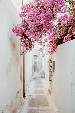 The narrow streets of Santroini. by shanine Roosingh