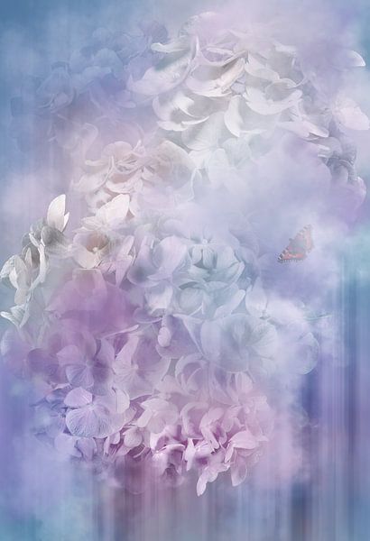 Ciel d&#039;hortensia par Sander van Laar