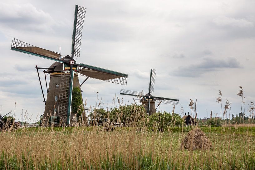 Windmühlen am Kinderdijk von Stefan Verheij