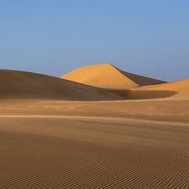 Zandduin in White Desert National Park in Egypte van Gerwald Harmsen