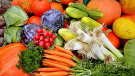 Groenten van Wiltrud Schwantz