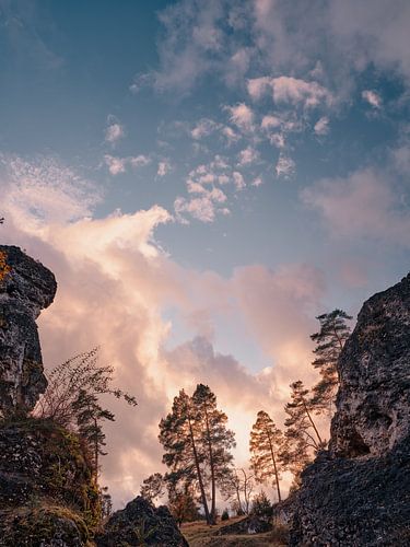 Bäume - Himmel - Wolken