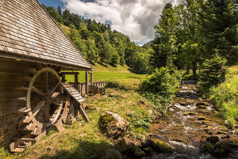 Watermolen in het Zwarte Woud van Conny Pokorny