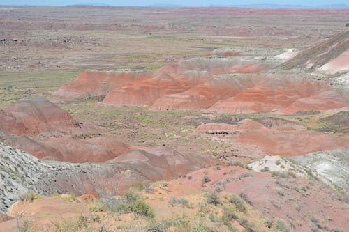 Painted Dessert, Arizona