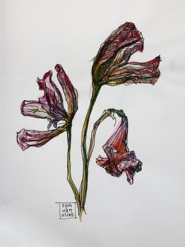 Tote Blumen 1 von Ron van Vliet