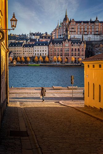 Stockholm Licht
