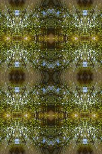 Sommerliche Reflexion, Wasser und Symmetrie 4