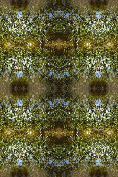 Sommerliche Reflexion, Wasser und Symmetrie 4 von Heidemuellerin