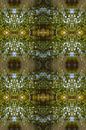 Sommerliche Reflexion, Wasser und Symmetrie 4 von Heidemuellerin Miniaturansicht