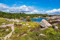 Landschap op het archipeleiland Skjernøya in Noorwegen van Rico Ködder thumbnail
