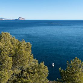 Kiefern, ruhiges Meer und ferne Berge von Adriana Mueller
