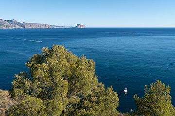 Pines, calm sea and distant mountains