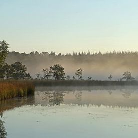 Misty morning von Yvonne van Dormolen