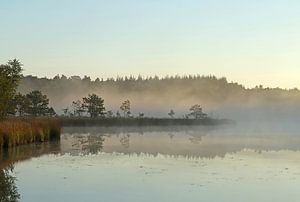 Misty morning von Yvonne van Dormolen