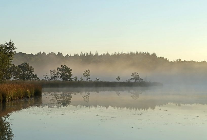 Mistige morgen op de Utrechtse Heuvelrug par Yvonne van Dormolen