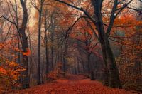 Decorative forest