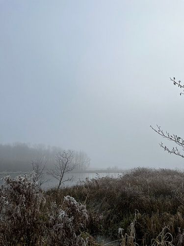 Niederländische Natur