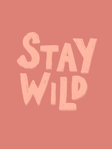 Stay Wild – Handwritten Typography