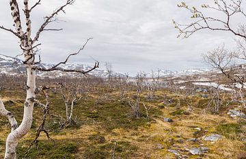 Norway - Landscape by Grafikdesign Manuel Groß