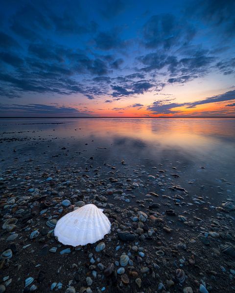 An Land gespült! von Karin de Bruin
