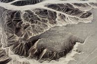 Nazca lijnen Peru van Berg Photostore thumbnail