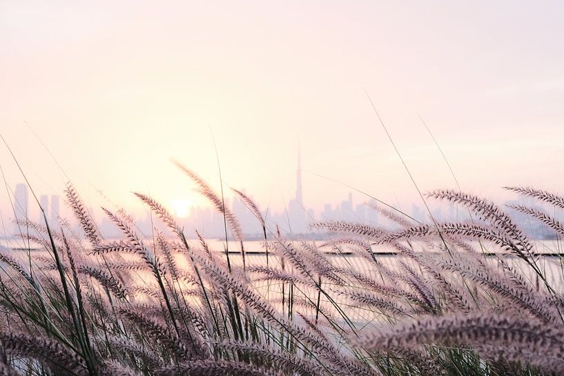 Skyline Dubai Sunset by Studio Desert Rose