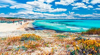 Dream beach of es trenc Mallorca