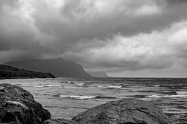 A storm is brewing! by Thomas Heins