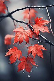 Crimson Canopy by Art Lovers
